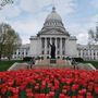 Madison