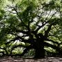 Charleston, SC, Stati Uniti