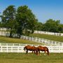 Lexington
