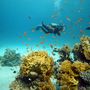 Sharm el Sheikh