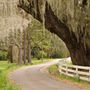 Charleston, SC, Stati Uniti