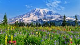 Case vacanza a Mount Rainier National Park