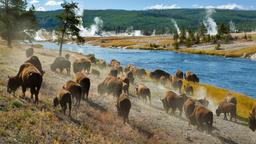 Case vacanza a Yellowstone National Park