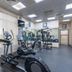 Palestra