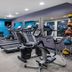 Palestra