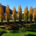 Vista esterna