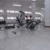 Palestra