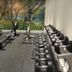 Palestra