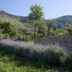 Vista esterna