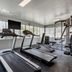 Palestra