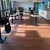 Palestra