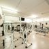 Palestra