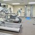 Palestra