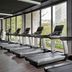 Palestra