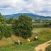 Vista esterna
