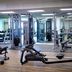 Palestra