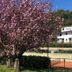 Vista esterna
