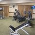 Palestra