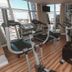 Palestra