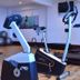 Palestra