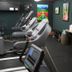 Palestra