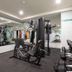 Palestra