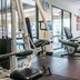 Palestra