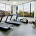 Palestra