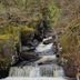 Altro