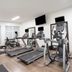 Palestra