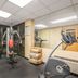 Palestra