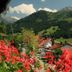 Vista esterna