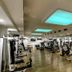 Palestra