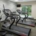Palestra