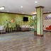 Ingresso