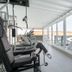 Palestra