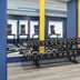 Palestra
