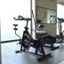 Palestra