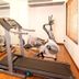 Palestra