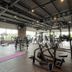 Palestra