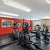 Palestra