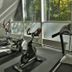 Palestra