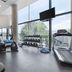 Palestra