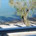 Altro