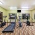 Palestra
