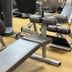 Palestra