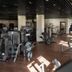 Palestra
