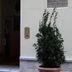 Vista esterna