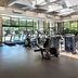 Palestra