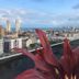 Vista esterna